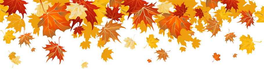 Maple leaves border