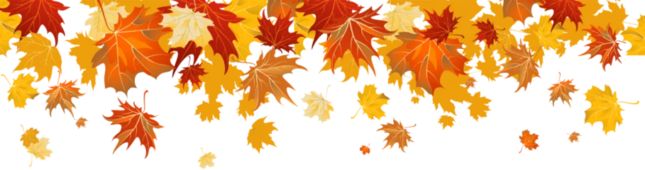 Maple leaves border © paprika