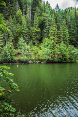 Bikaz Gorge and Lakul Roshu (Red Lake) - Eastern Carpathians - Romania - Europe