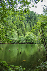 Bikaz Gorge and Lakul Roshu (Red Lake) - Eastern Carpathians - Romania - Europe