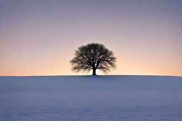 tree in the snow