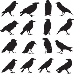 Obraz premium Flock of Raven Elegant Silhouette Vector Illustrations