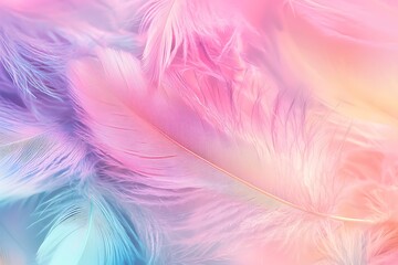 Obraz premium Close-up of soft pink and blue feathers.