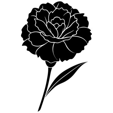 black carnation flower silhouette on white clip art preview
