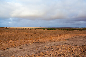 field in the evening