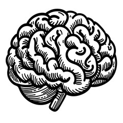 Illustration of brain drawing, line art style, hand drawn, vector
