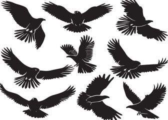 Obraz premium Abstract Eagle Silhouette Vector Graphics Pack