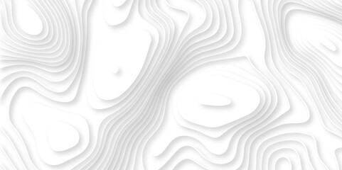 Abstract geometric layered curve line white background. 3d render, paper cut vector art background banner texture. multi layer cutout geometric patterns with smooth wavy layer. white background.