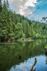 Bikaz Gorge and Lakul Roshu (Red Lake) - Eastern Carpathians - Romania - Europe