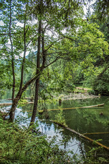Bikaz Gorge and Lakul Roshu (Red Lake) - Eastern Carpathians - Romania - Europe