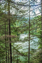 Bikaz Gorge and Lakul Roshu (Red Lake) - Eastern Carpathians - Romania - Europe