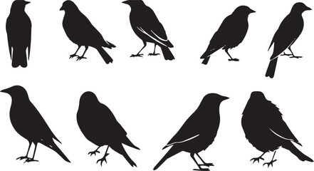 Obraz premium Black Eagle Flat Black Silhouette Vector Art Bundle