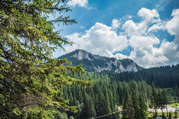 Bikaz Gorge and Lakul Roshu (Red Lake) - Eastern Carpathians - Romania - Europe