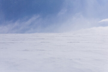 Obraz premium cold snow desert, lifeless snowy landscape with blizzard