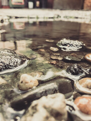 A pond with rocks and water