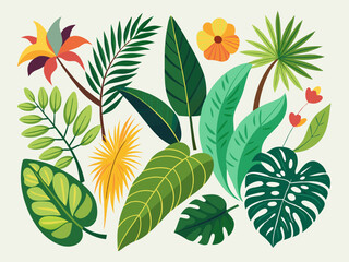 Jungle leaves. Cartoon different tropical plants. Palm, banana, monstera. Botanical green foliage elements. Summer paradise exotic leaf on white background. Vector set
