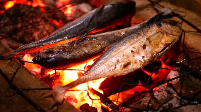 Selective focus of Grilling Cakalang fish or Skipjack tuna (Katsuwonus pelamis) on a cast iron grill. close up view