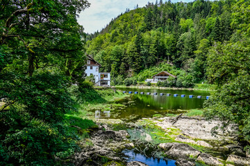 Obraz premium Les Brenets, le lac des Brenets, Felsen, Felswände, Doubs, Fluss, Le Locle, Ausflug, le Saut-du-Doubs, Jura, Juramassiv, Wald, Wanderweg, Sommer, Kanton Neuenburg, Schweiz, Frankreich
