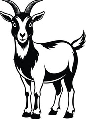 A realistic black and white Goat Vector Art 