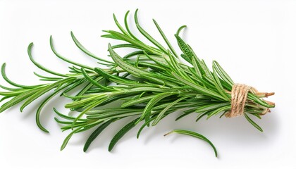 Fototapeta premium Rosemary twig and leaves isolated on white background. Fresh Rosmary bunch .Top view. Herbs Flat lay.