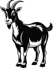 A realistic black and white Goat Vector Art 