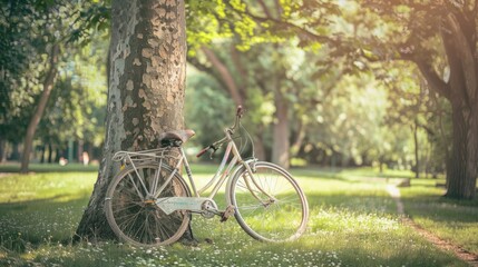 Fototapeta premium A vintage bicycle leaning against a tree in a park on a sunny day.