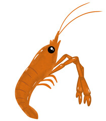 Cartoon Shrimp Aquatic Animal Clipart and Illustration.