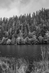 Obraz premium Bikaz Gorge and Lakul Roshu (Red Lake) - Eastern Carpathians - Romania - Europe