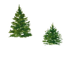 Set of isolated watercolor Christmas trees hand drawn White background