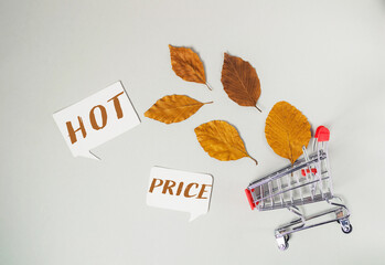 A shopping cart with a sign that says hot price on it