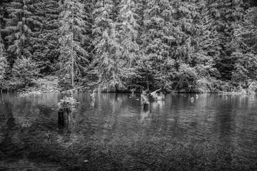 Bikaz Gorge and Lakul Roshu (Red Lake) - Eastern Carpathians - Romania - Europe