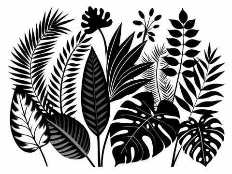 black and white tropical leaves arrangement clip art preview
