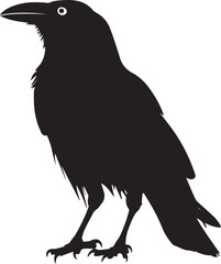 Crow on white background Silhouette Vector