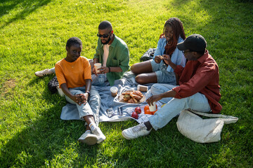 Young friendly african american group of friends spending time together on picnic in park during...