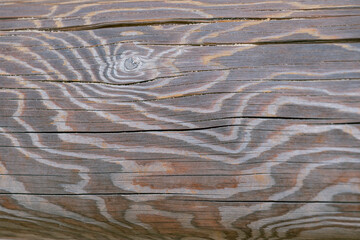 Patterns on a log. Beautiful wooden background.