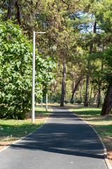alley in the park modern urbanism green space, trees and footpath for recreation