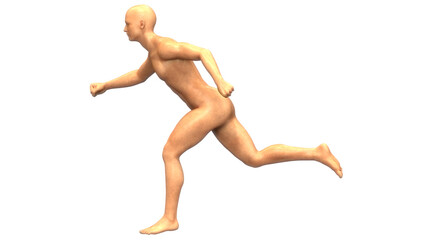 Human Muscle Body Running Pose Anatomy