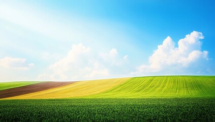 A field, farm, and agricultural landscape in France.
