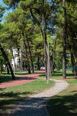 alley in the park modern urbanism green space, trees and footpath for recreation