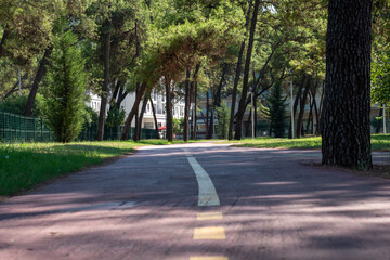 alley in the park modern urbanism green space, trees and footpath for recreation