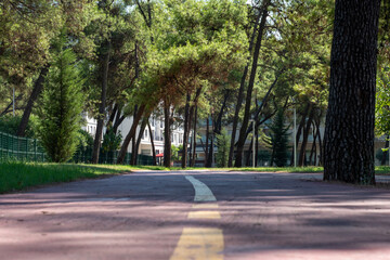 alley in the park modern urbanism green space, trees and footpath for recreation