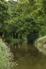 a walk along the grand Western canal in tiverton, Devon