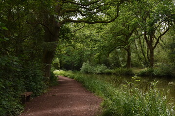 Naklejka premium a walk along the grand Western canal in tiverton, Devon