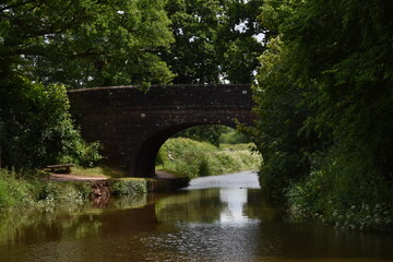 Fototapeta premium a walk along the grand Western canal in tiverton, Devon