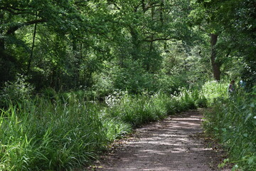 a walk along the grand Western canal in tiverton, Devon