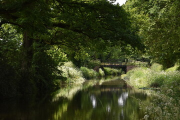 a walk along the grand Western canal in tiverton, Devon