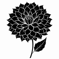 Dahlia Black silhouette
