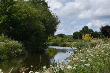 a walk along the grand Western canal in tiverton, Devon