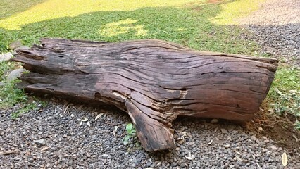 A large log is laying on the ground in a grassy area