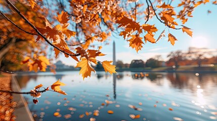 The vibrant fall foliage of cherry trees surrounding the Tidal Basin in Washington, D.C., with the Washington Monument standing tall in the background on a crisp autumn day.